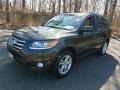 2012 Black Forest Green Hyundai Santa Fe Limited V6 AWD  photo #3