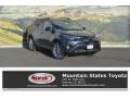 2017 Magnetic Gray Metallic Toyota RAV4 Limited AWD  photo #1