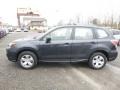 Dark Gray Metallic - Forester 2.5i Photo No. 7