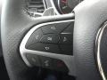 Black Controls Photo for 2017 Dodge Challenger #119120339