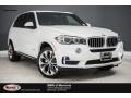 Alpine White - X5 sDrive35i Photo No. 1