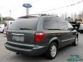 2001 Shale Green Metallic Chrysler Town & Country LXi  photo #5