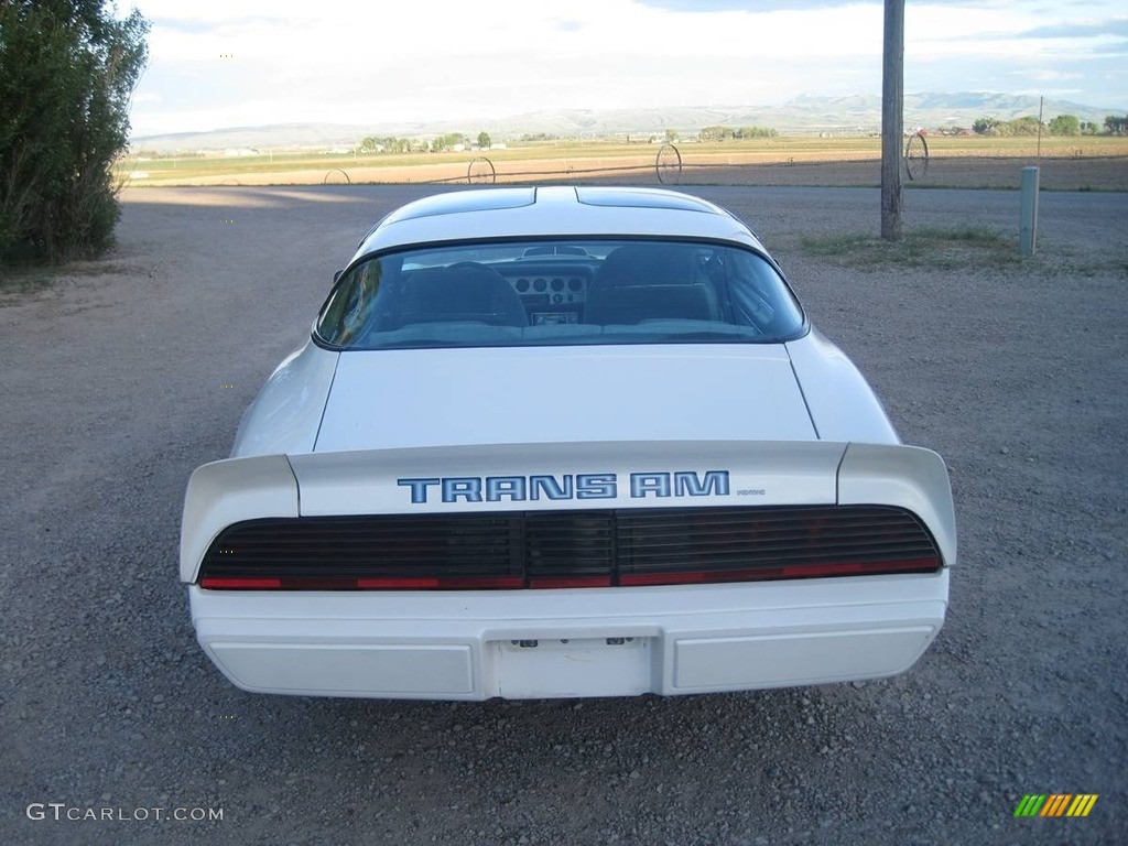 1979 Firebird Trans Am - White / Black photo #2