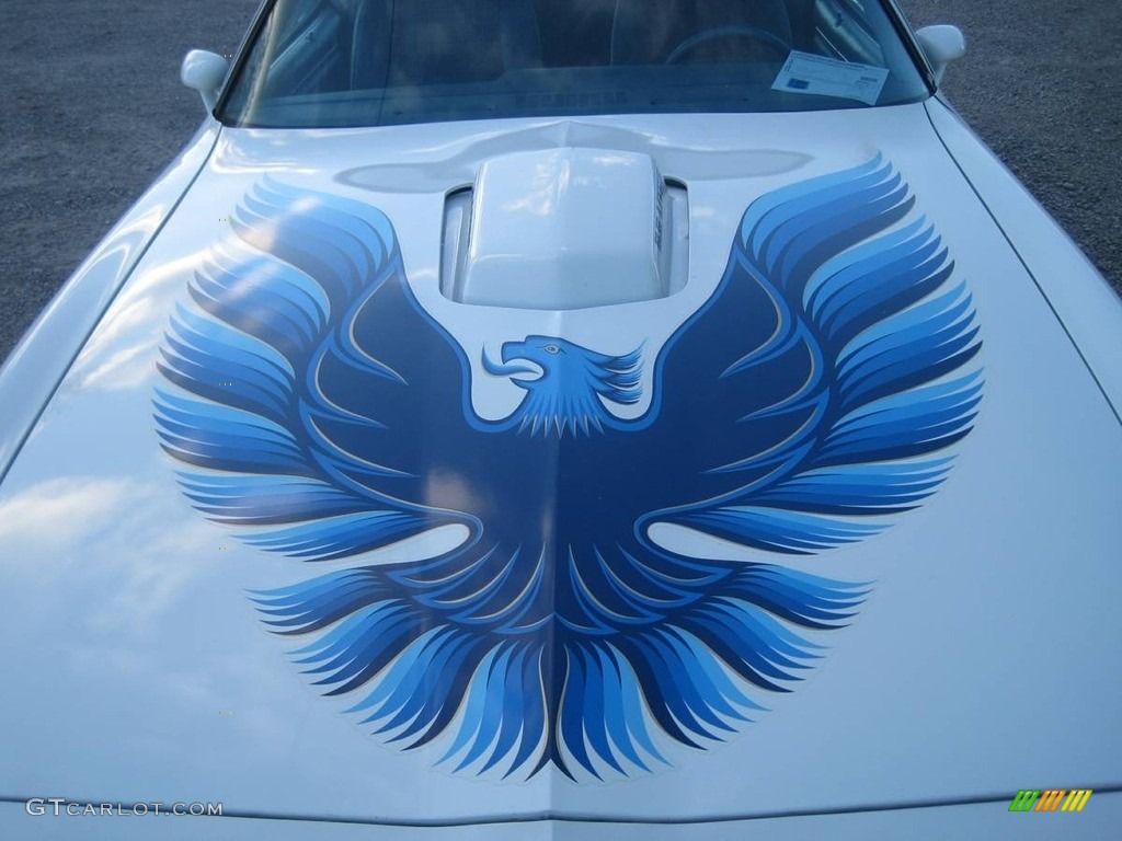 1979 Firebird Trans Am - White / Black photo #4