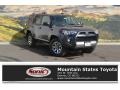 2017 Magnetic Gray Metallic Toyota 4Runner TRD Off-Road Premium 4x4  photo #1