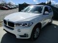 Alpine White - X5 xDrive35i Photo No. 7