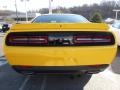 YellowJacket - Challenger GT AWD Photo No. 3