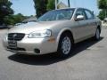 Sunlit Sand Metallic - Maxima GXE Photo No. 1