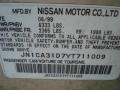 Sunlit Sand Metallic - Maxima GXE Photo No. 14