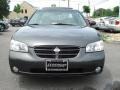 Gray Lustre Metallic - Maxima GLE Photo No. 9