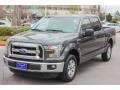 Magnetic - F150 XLT SuperCrew Photo No. 3