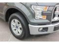 Magnetic - F150 XLT SuperCrew Photo No. 10