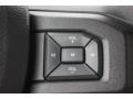 Magnetic - F150 XLT SuperCrew Photo No. 36