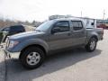 Storm Gray Metallic - Frontier SE Crew Cab Photo No. 6