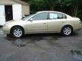 Velvet Beige - Altima 2.5 S Photo No. 2