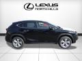 Obsidian - NX 200t AWD Photo No. 2