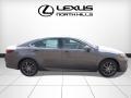 Nebula Gray Pearl - ES 350 Photo No. 2
