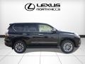 Black Onyx - GX 460 Luxury Photo No. 2