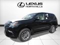 Black Onyx - GX 460 Luxury Photo No. 4