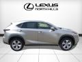 Atomic Silver - NX 200t AWD Photo No. 2