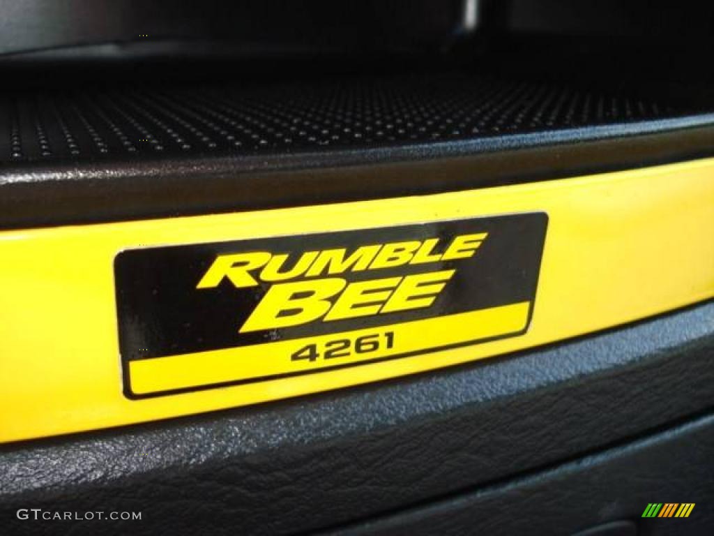 2004 Ram 1500 Rumble Bee Regular Cab 4x4 - Black / Dark Slate Gray photo #14