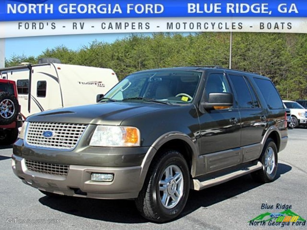 Aspen Green Metallic Ford Expedition