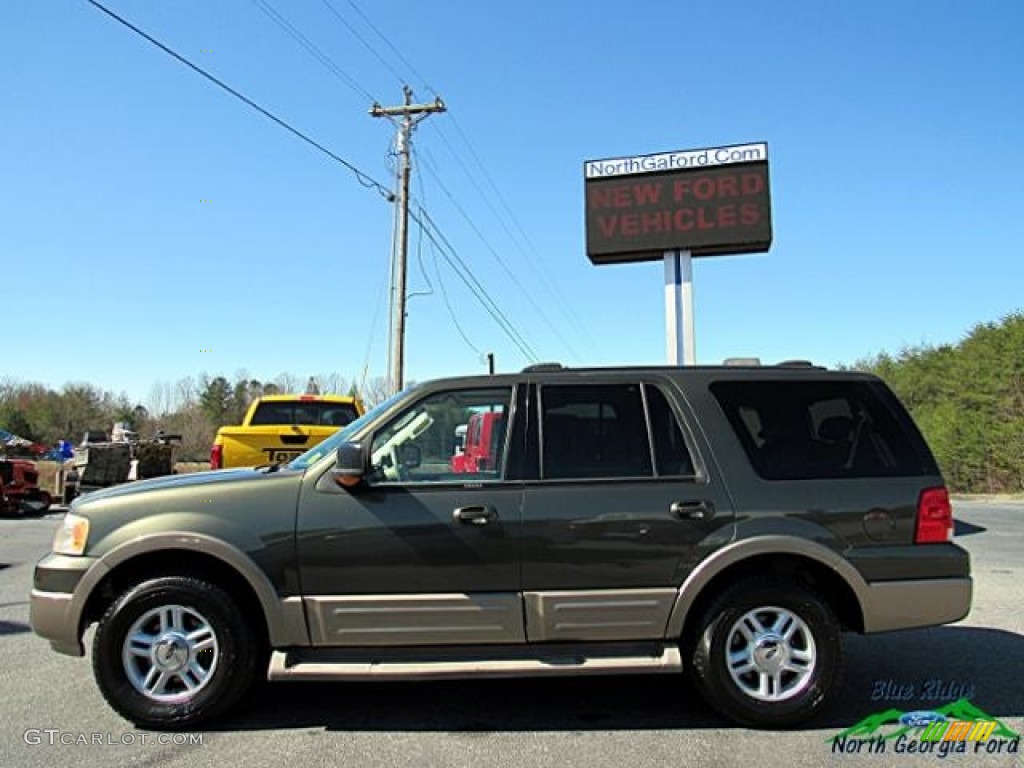 2004 Expedition Eddie Bauer - Aspen Green Metallic / Medium Parchment photo #2