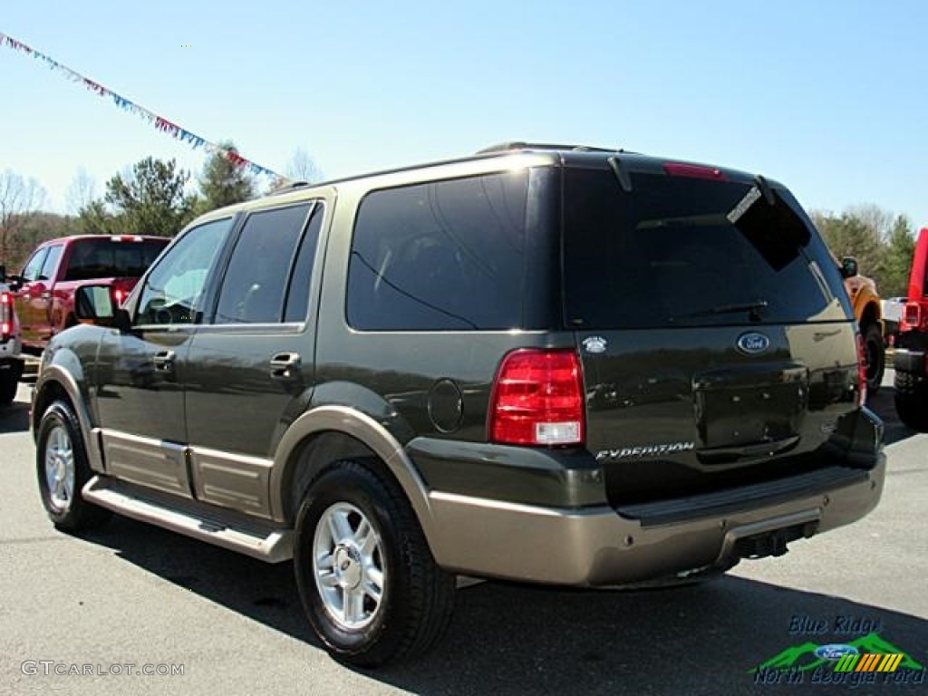 2004 Expedition Eddie Bauer - Aspen Green Metallic / Medium Parchment photo #3
