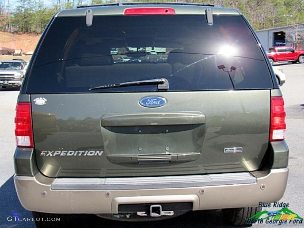 2004 Expedition Eddie Bauer - Aspen Green Metallic / Medium Parchment photo #5