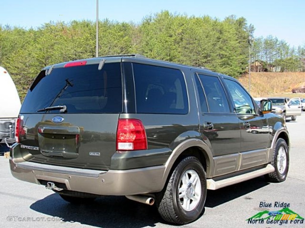 2004 Expedition Eddie Bauer - Aspen Green Metallic / Medium Parchment photo #6