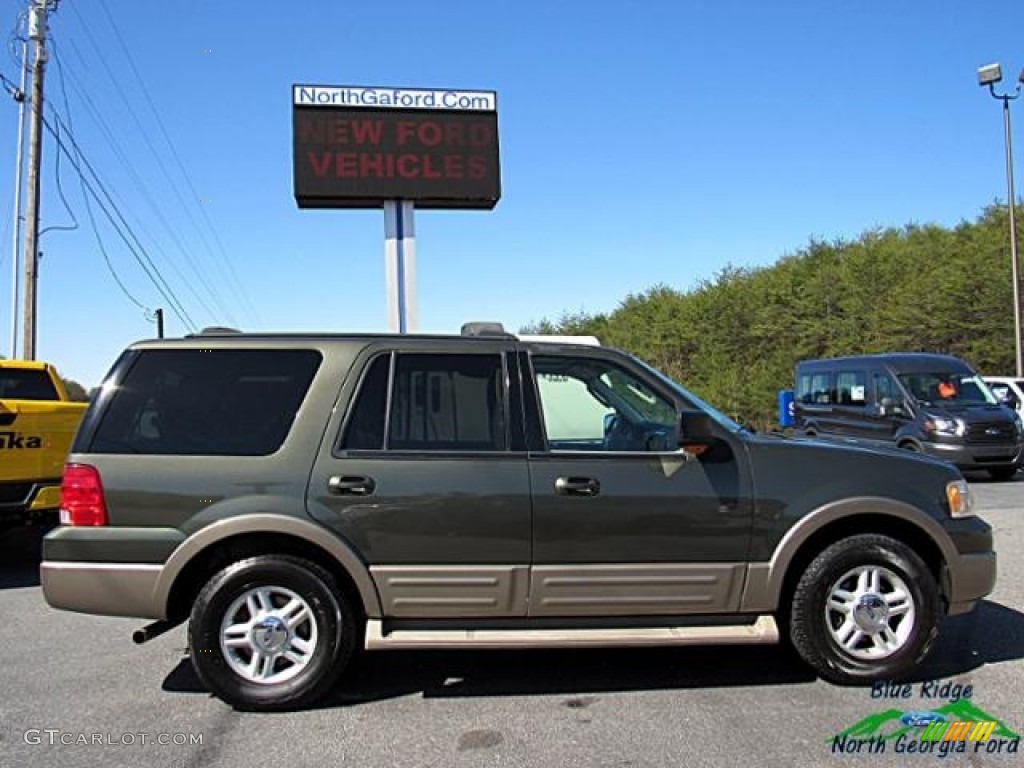 2004 Expedition Eddie Bauer - Aspen Green Metallic / Medium Parchment photo #7