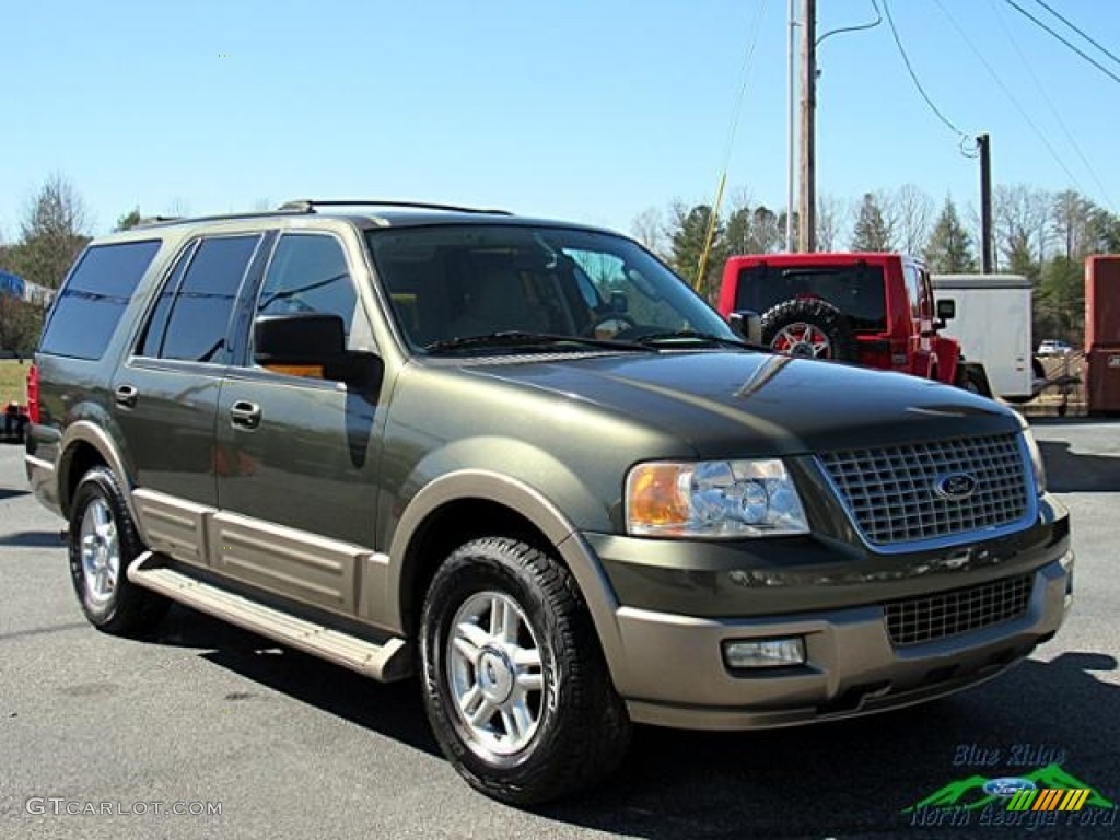 2004 Expedition Eddie Bauer - Aspen Green Metallic / Medium Parchment photo #8