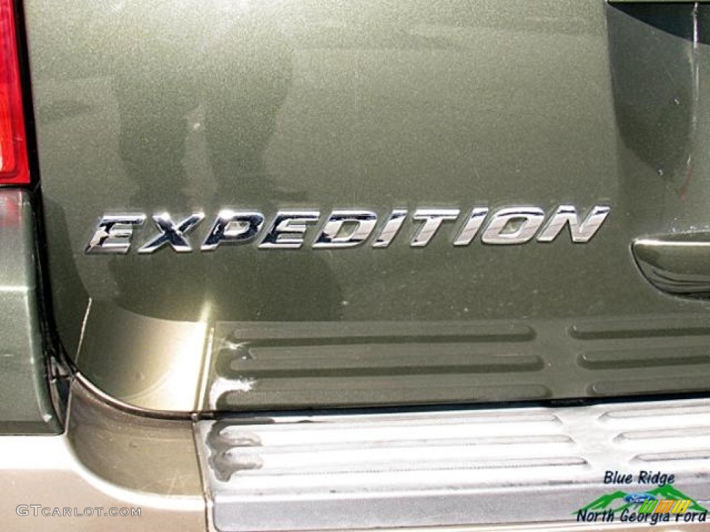 2004 Expedition Eddie Bauer - Aspen Green Metallic / Medium Parchment photo #33