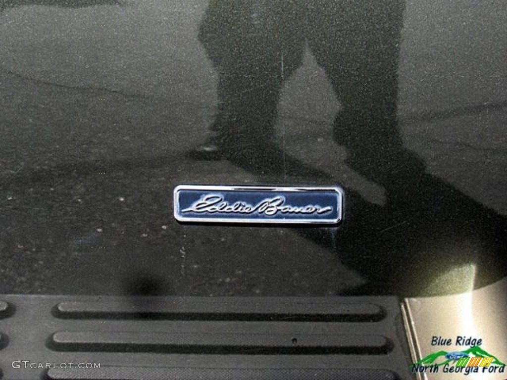 2004 Expedition Eddie Bauer - Aspen Green Metallic / Medium Parchment photo #34