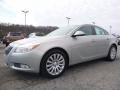 Stone Metallic 2011 Buick Regal CXL