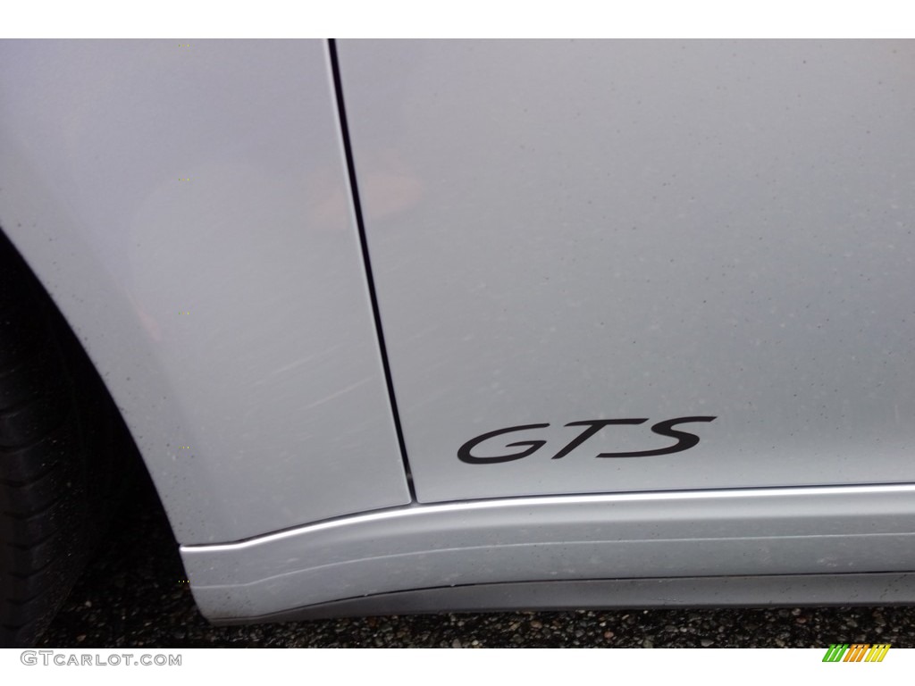 2015 Porsche 911 Carrera GTS Coupe Marks and Logos Photo #119183882