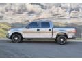 Sterling Grey Metallic - F150 XLT SuperCrew 4x4 Photo No. 6