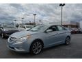 Iridescent Silver Blue Pearl - Sonata Limited 2.0T Photo No. 6