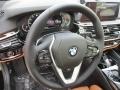 2017 BMW 5 Series Cognac Interior Steering Wheel Photo