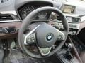 2017 BMW X1 Mocha Interior Steering Wheel Photo