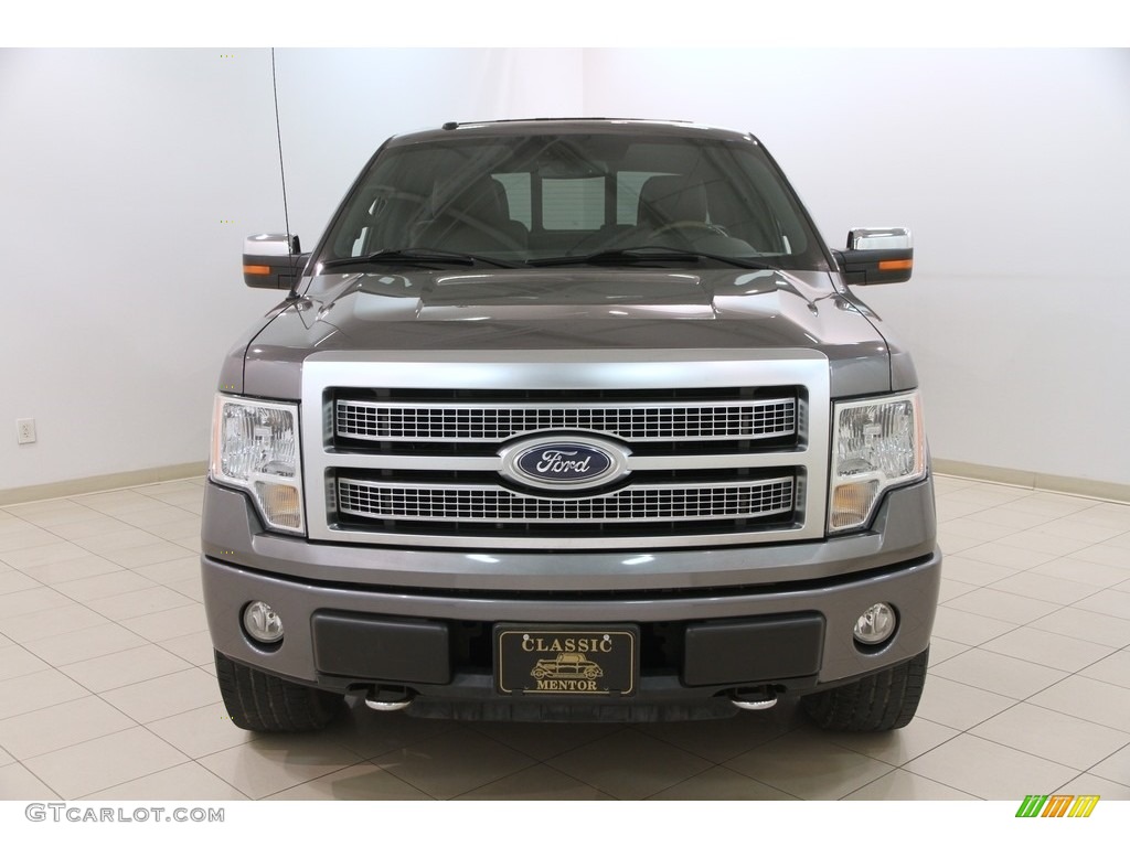 2010 F150 Platinum SuperCrew 4x4 - Sterling Grey Metallic / Sienna Brown Leather/Black photo #2