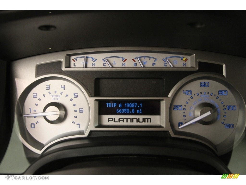 2010 F150 Platinum SuperCrew 4x4 - Sterling Grey Metallic / Sienna Brown Leather/Black photo #9