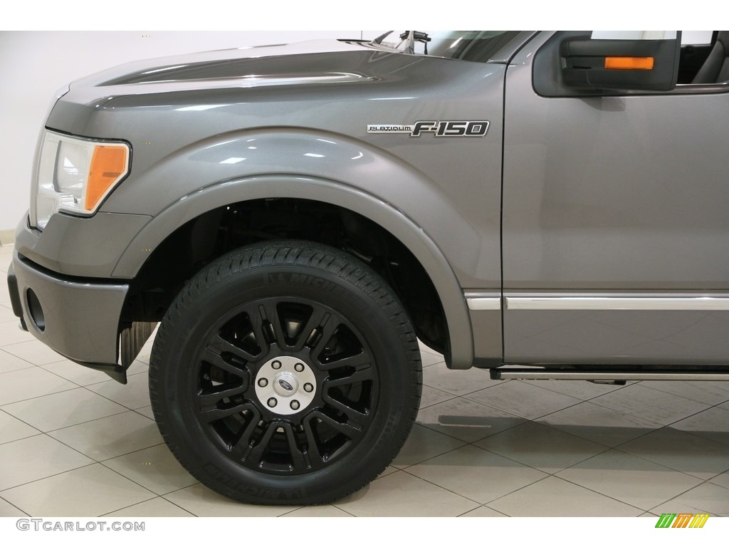 2010 F150 Platinum SuperCrew 4x4 - Sterling Grey Metallic / Sienna Brown Leather/Black photo #22