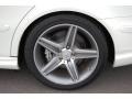 Arctic White - E 63 AMG Sedan Photo No. 18