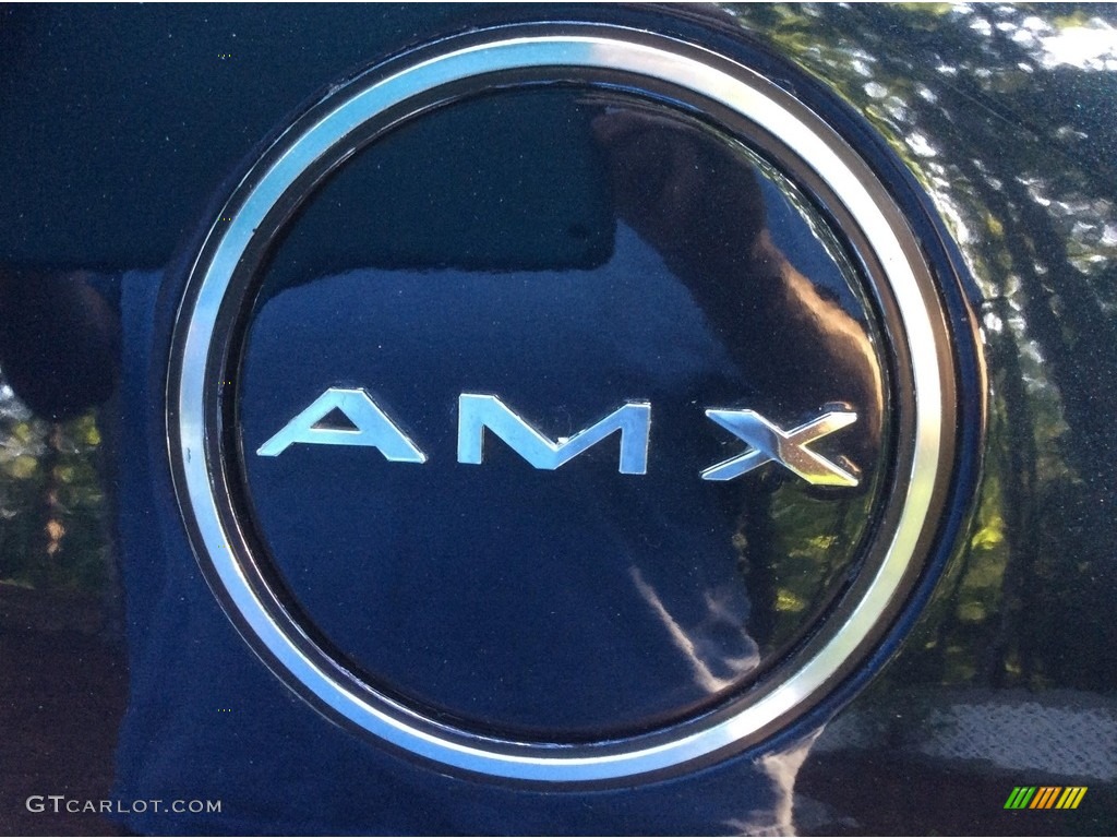 1969 AMC AMX Coupe Marks and Logos Photos