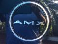 1969 AMC AMX Coupe Badge and Logo Photo