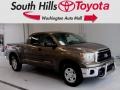 Pyrite Mica 2013 Toyota Tundra Double Cab 4x4