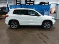 Pure White - Tiguan Sport Photo No. 4
