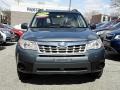 Sage Green Metallic - Forester 2.5 X Premium Photo No. 2