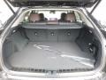 Noble Brown Trunk Photo for 2017 Lexus RX #119308364